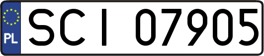 SCI07905
