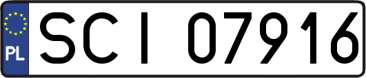 SCI07916