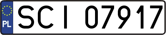 SCI07917