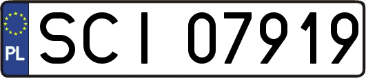SCI07919