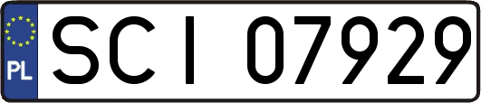 SCI07929
