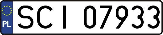 SCI07933
