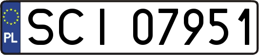 SCI07951
