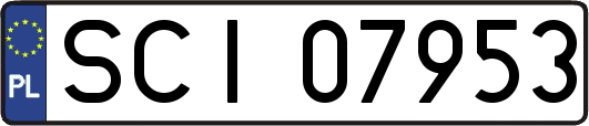SCI07953