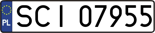 SCI07955