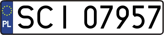 SCI07957