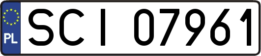 SCI07961
