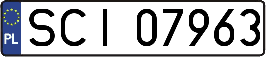 SCI07963