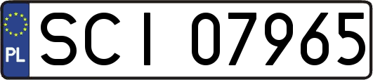 SCI07965