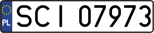 SCI07973
