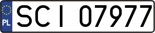 SCI07977