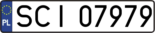 SCI07979