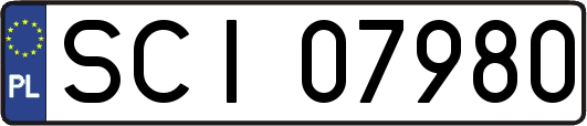 SCI07980