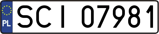 SCI07981