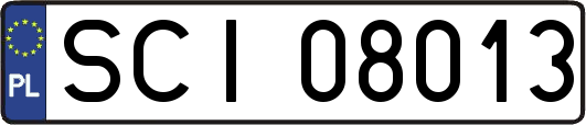 SCI08013