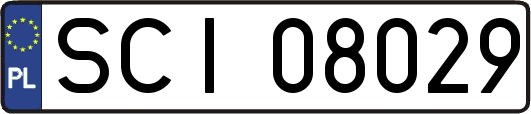 SCI08029