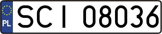 SCI08036