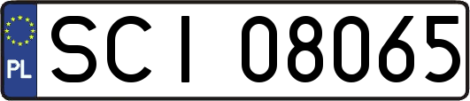 SCI08065