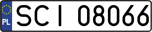 SCI08066