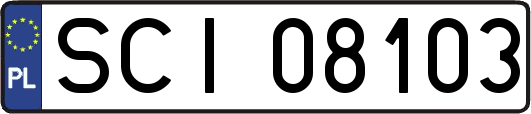 SCI08103