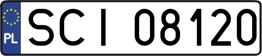 SCI08120