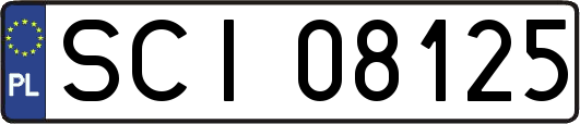 SCI08125