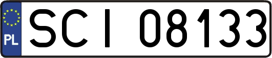 SCI08133