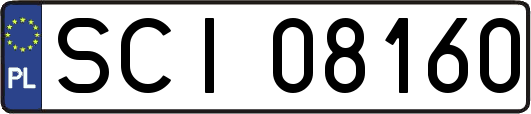 SCI08160