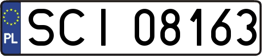 SCI08163