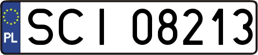 SCI08213