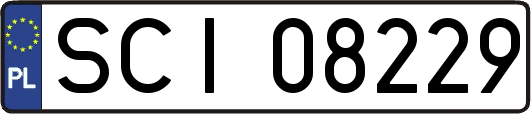 SCI08229
