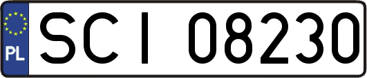 SCI08230