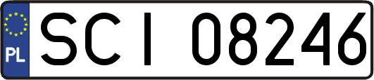 SCI08246