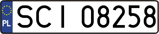 SCI08258