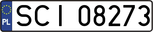 SCI08273