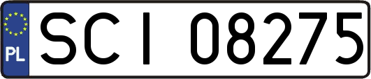 SCI08275