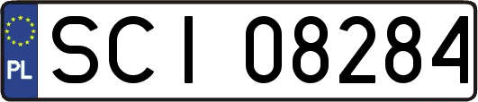 SCI08284