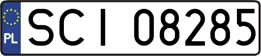 SCI08285