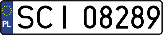 SCI08289