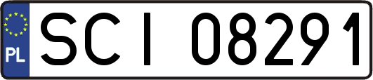 SCI08291