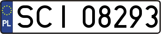 SCI08293