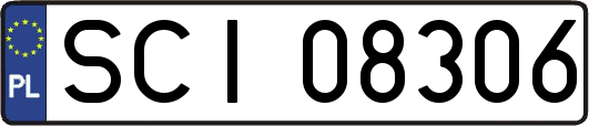 SCI08306