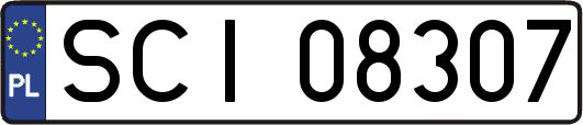 SCI08307