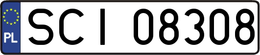 SCI08308