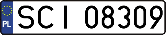 SCI08309