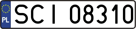 SCI08310