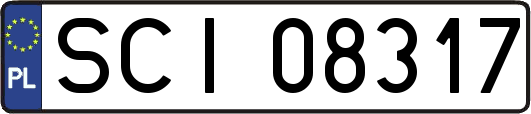 SCI08317