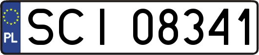 SCI08341