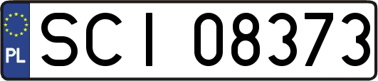 SCI08373