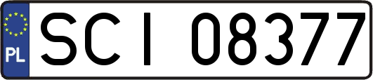 SCI08377